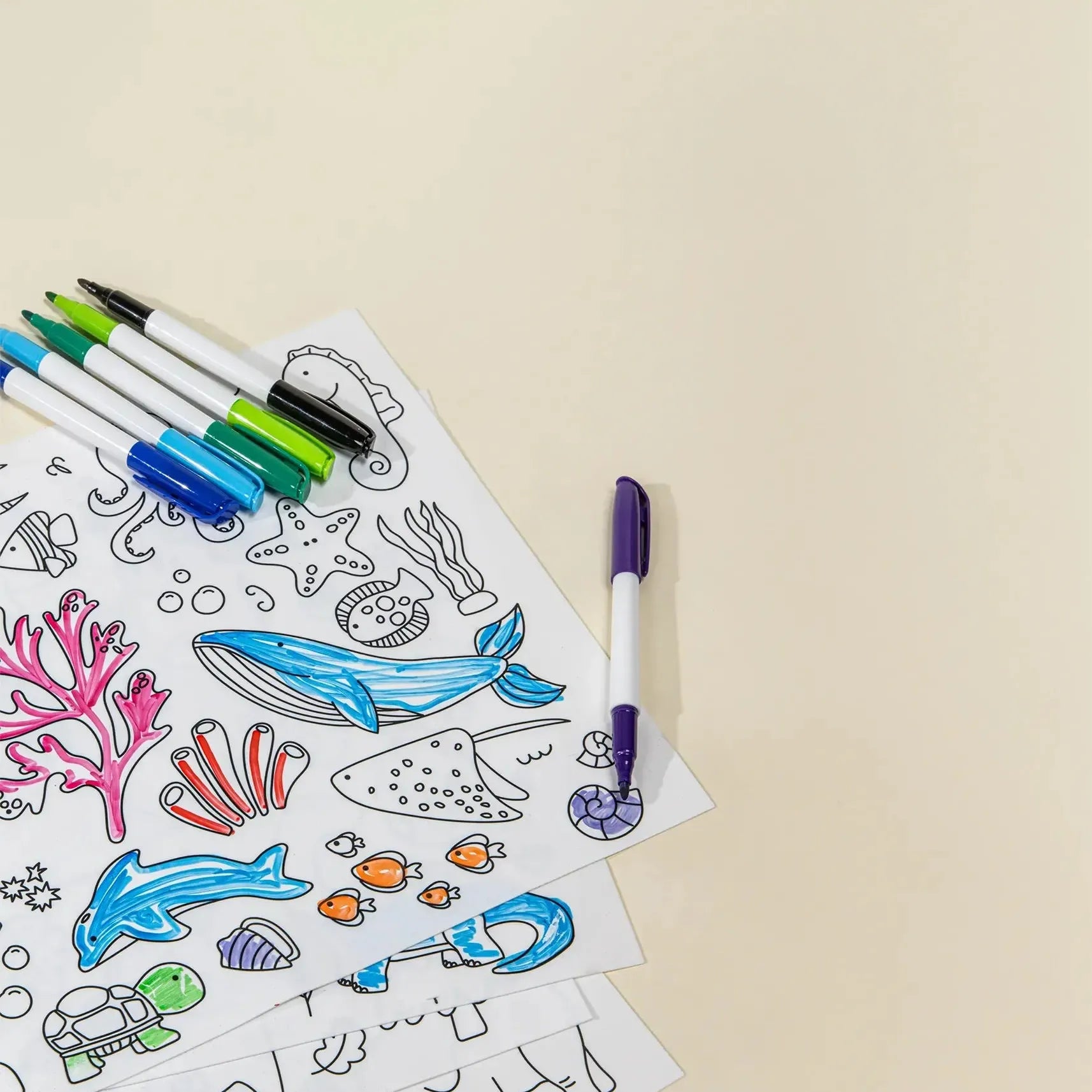 Coco Village Set of 4 Silicone Washable Coloring Placemats & Markers