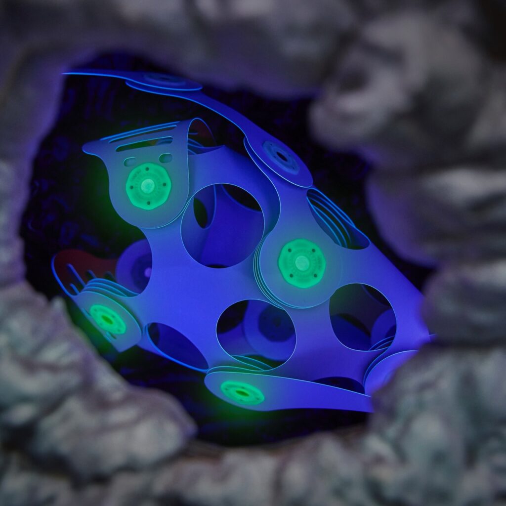 Clixo Ocean Creatures Pack