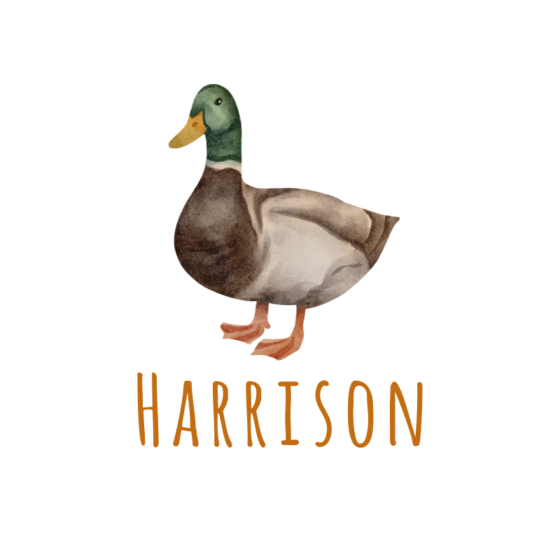 Sugar + Maple Personalized Bib | Many Mallards