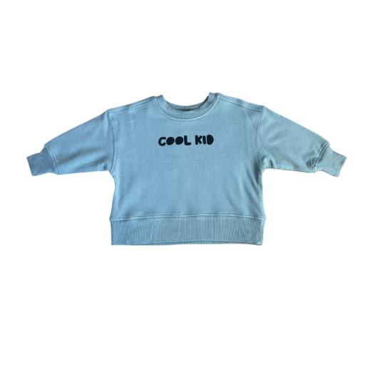 Baby Sprouts Boxy Sweatshirt | Cool Kid