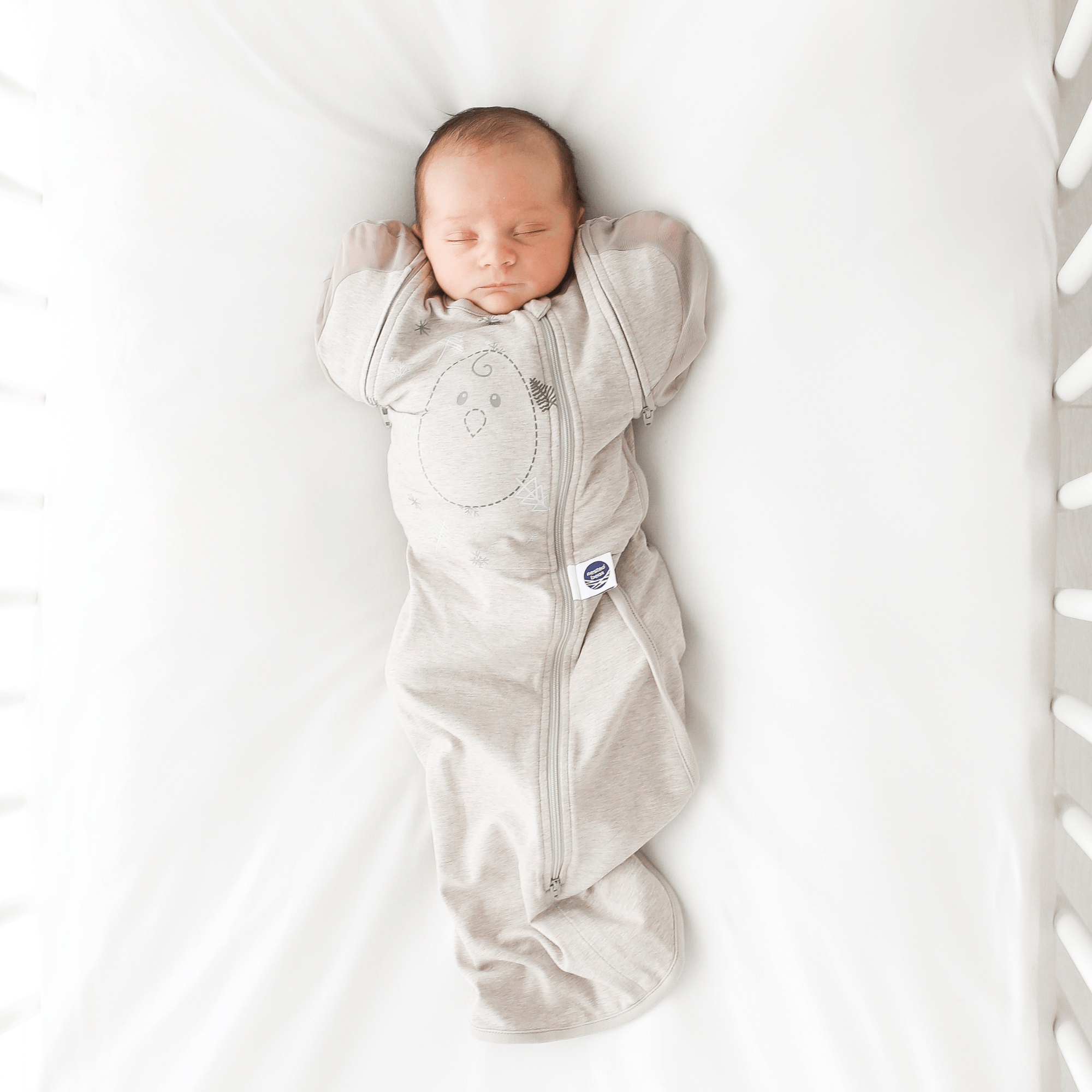 Nested Bean Zen One Bundle - Limited Edition & Classic