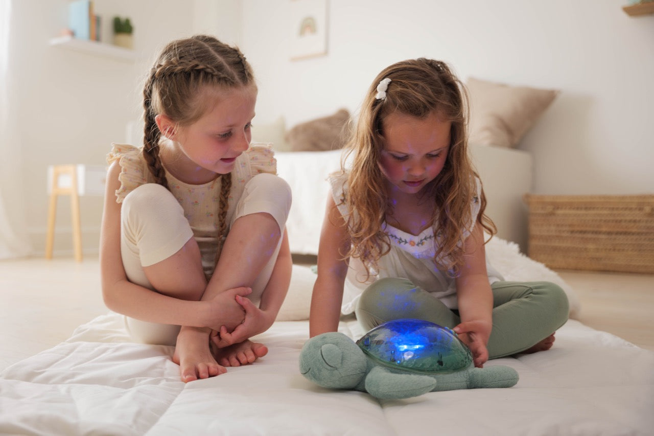 Cloud B Tranquil Turtle