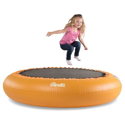 The Shrunks Trampoline / Pool