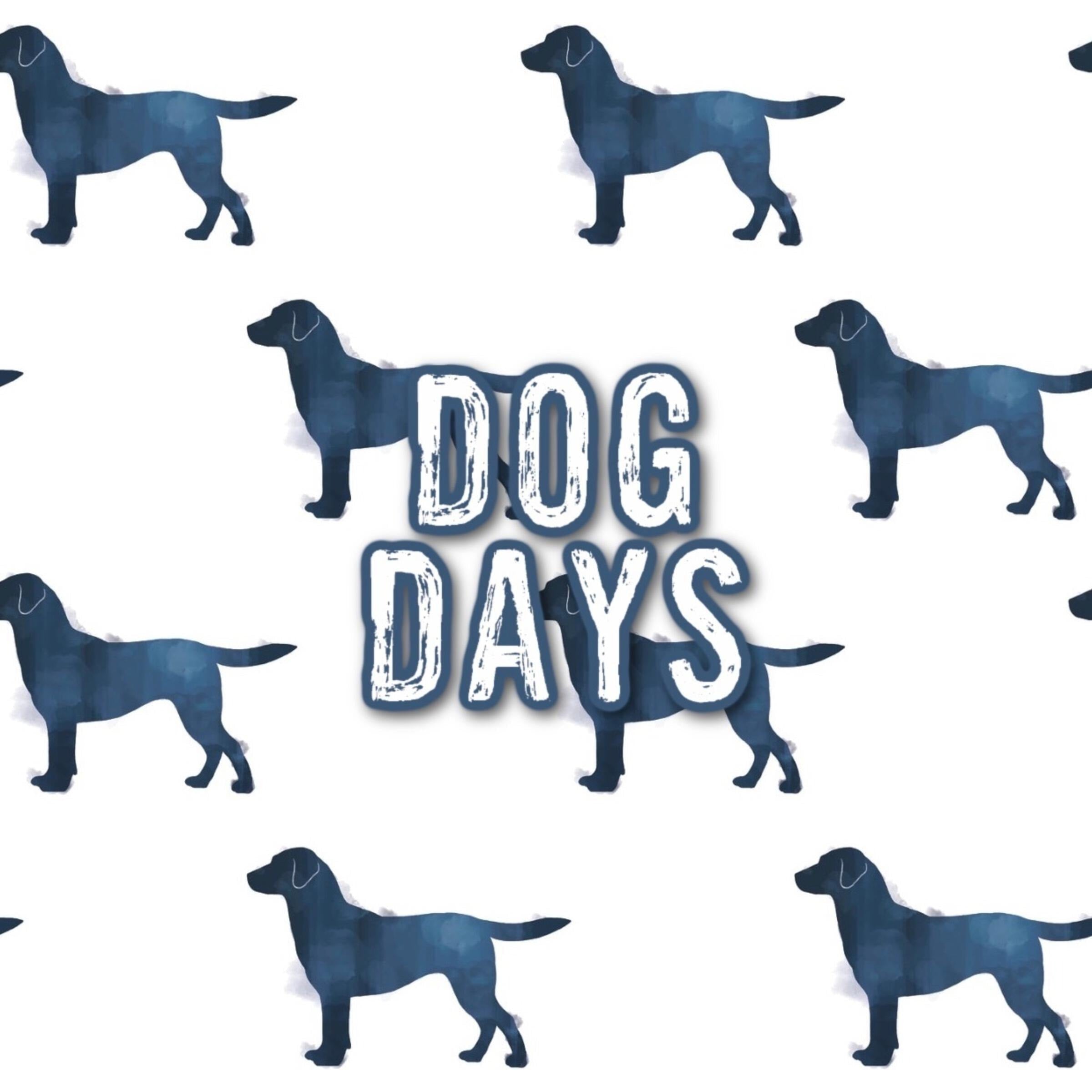 Kozi & Co. Little Kids Short Sleeve Set | Dog Days