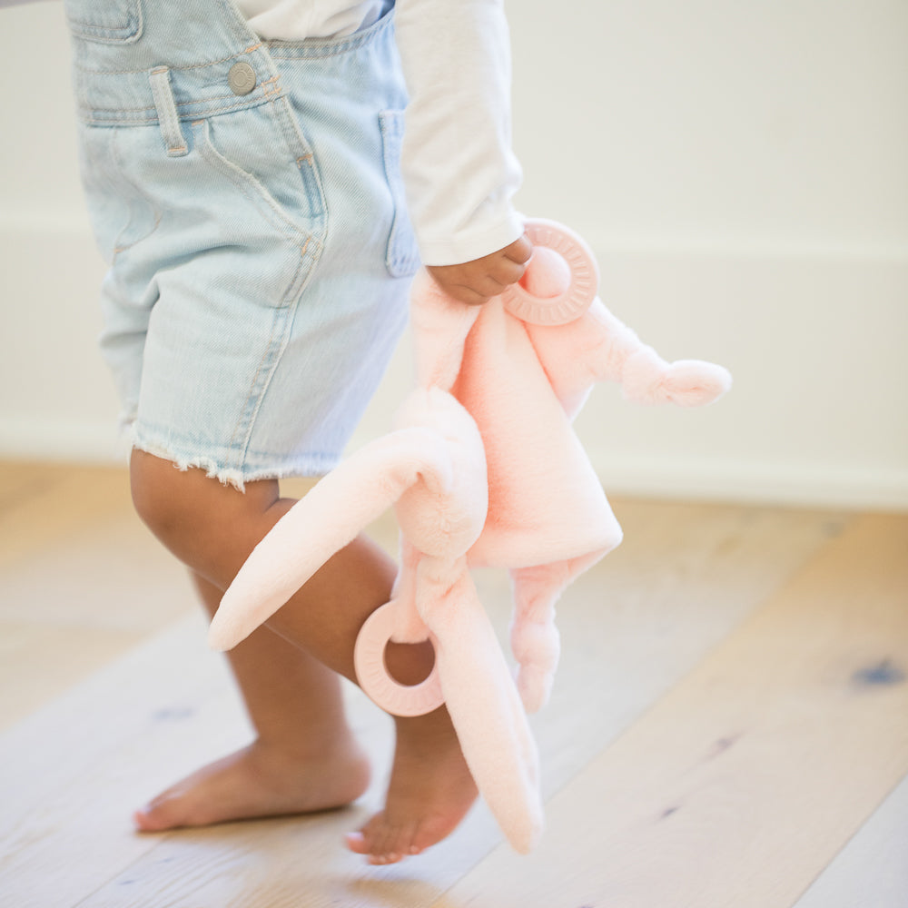 Bella Tunno Bunny Teether Buddy