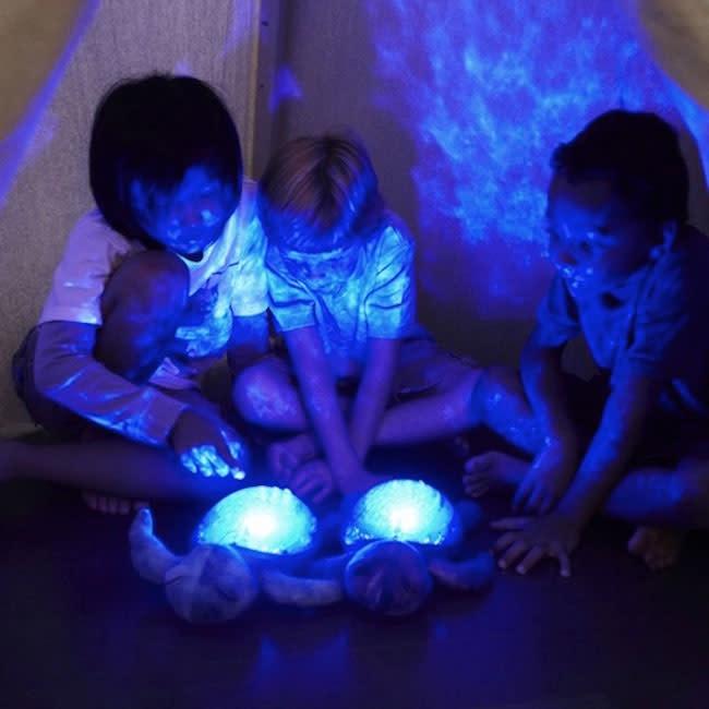 Cloud B Tranquil Turtle | Ocean